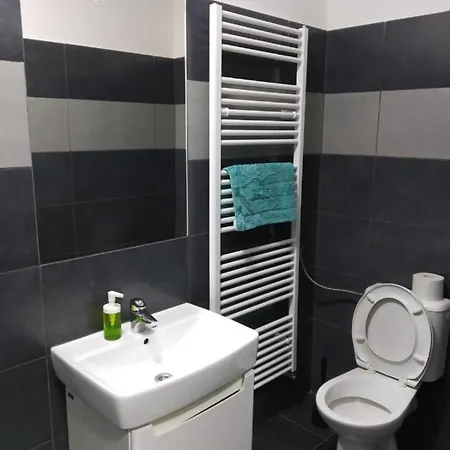 Near The Center With Privat Parking Brno