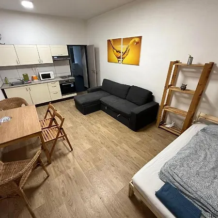 Near The Center With Privat Parking Brno