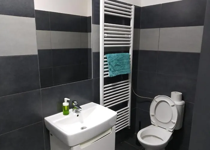Near The Center With Privat Parking Brno