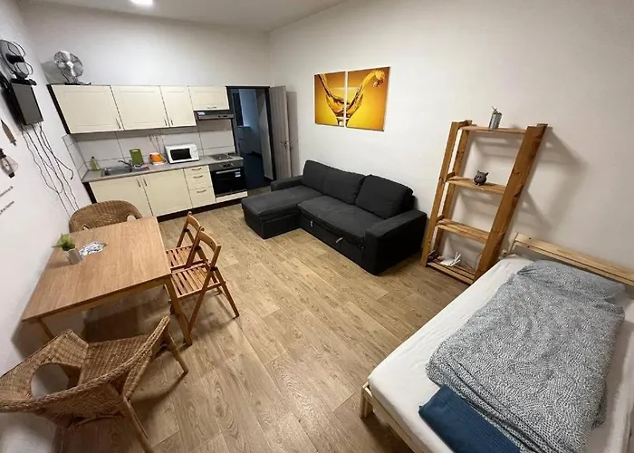 Near The Center With Privat Parking Brno
