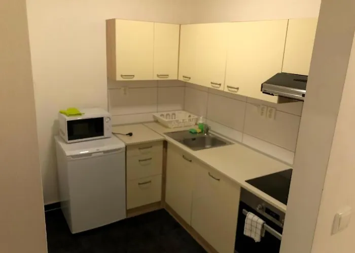 Apartment Near The Center With Privat Parking